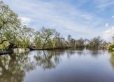 koop  Tienhoven  Oudedijk 42 – Foto 8