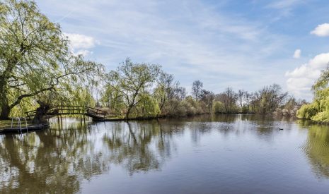 Te koop: Foto Woonhuis aan de Oudedijk 42 in Tienhoven