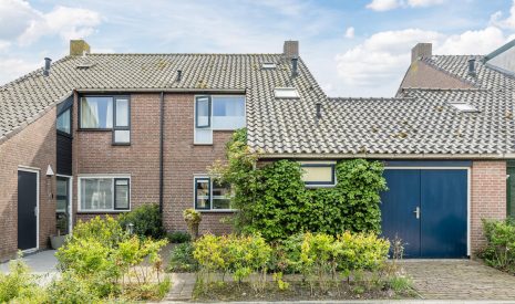 koop  Kockengen  Fuut 20 – Hoofdfoto